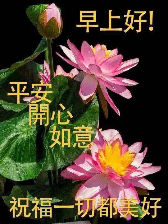 2021年早晨祝福语图片,2021年早晨祝福图片 2021最新出的春天早上好问候祝福语 三月份唯美春天鲜花早上好祝福