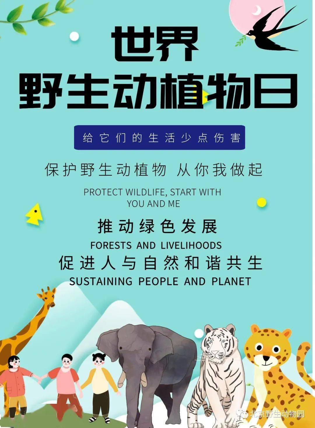 世界野生动植物日推动绿色发展促进人与自然和谐共生