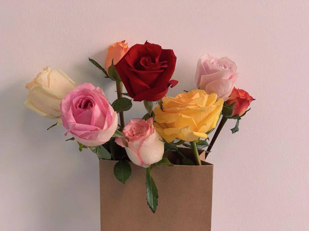 【送你一朵小红花】快来察右后旗联社领取属于你的玫瑰花吧!