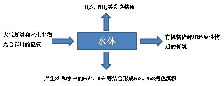 水环境微课堂黑臭水体的形成机理及评价指标二