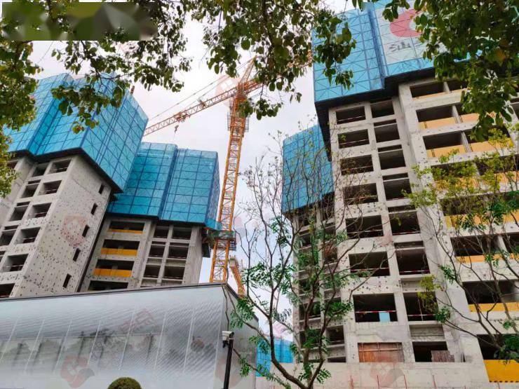 金地进驻光明区 一期日光的峰境瑞府二期下半年入市能否延续传奇