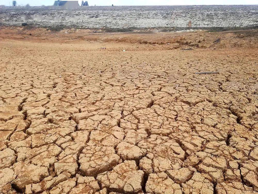 曲靖告急玉溪告急红河告急云南多地严重干旱昆明水库