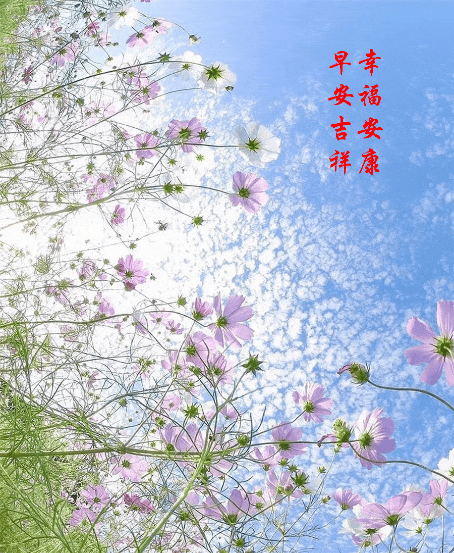 新的一天,祝朋友们: 幸福安康!如意吉祥! 家庭美满!合家平安!