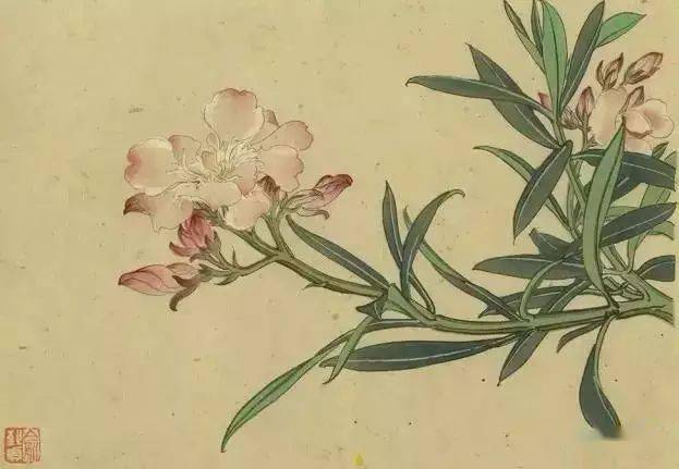 这位大师的工笔100幅花图谱,美得过瘾!_花鸟画家