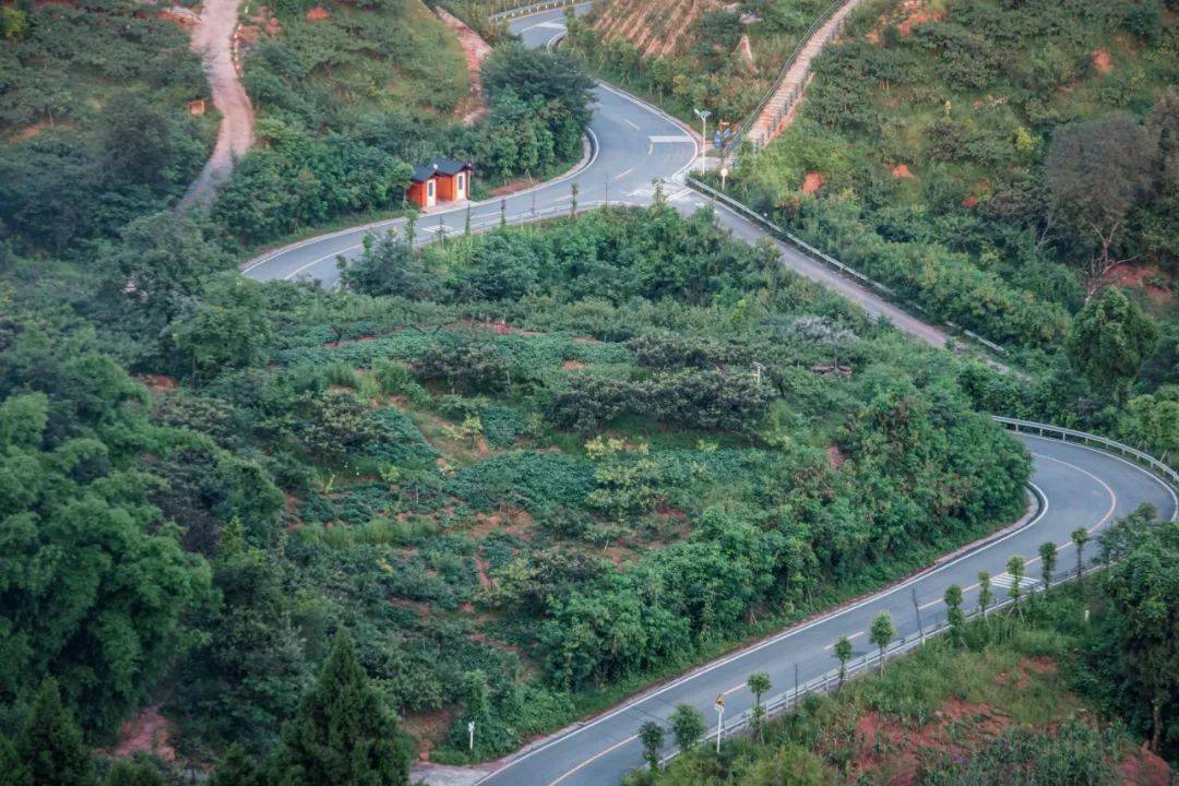 成都龙泉山跑道/图虫创意在重庆,这座山是苍郁古树两岸夹道,高低