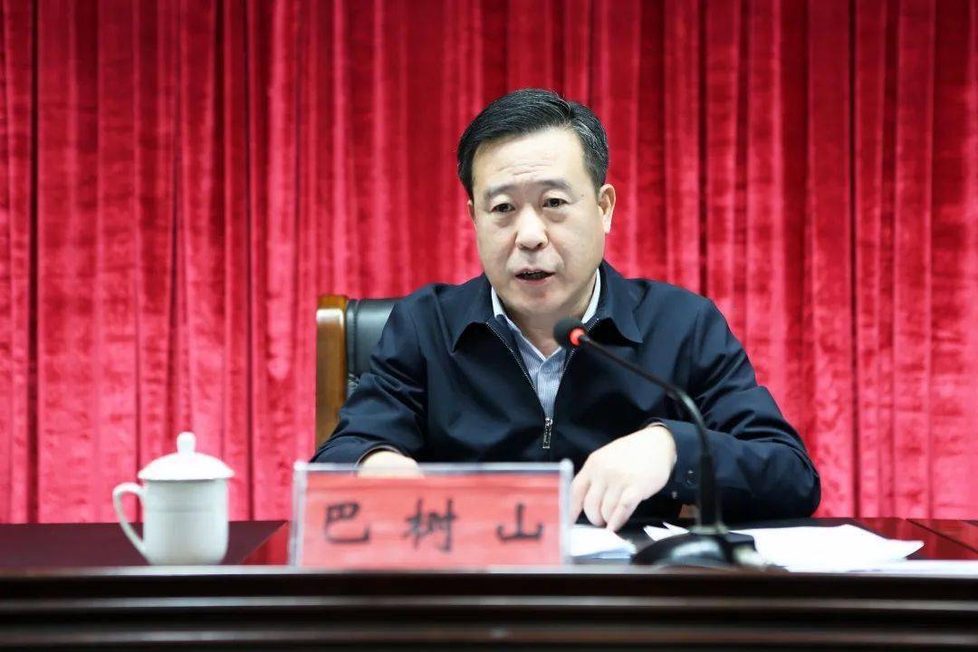 万达集团董事局董事,轮值执行总裁巴树山参加会议并讲话