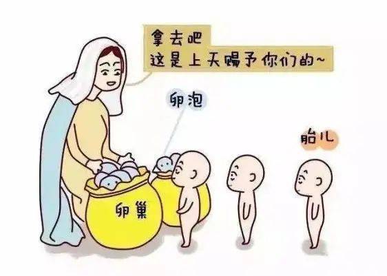 备孕女性不可忽视的生育杀手—— 卵子老化