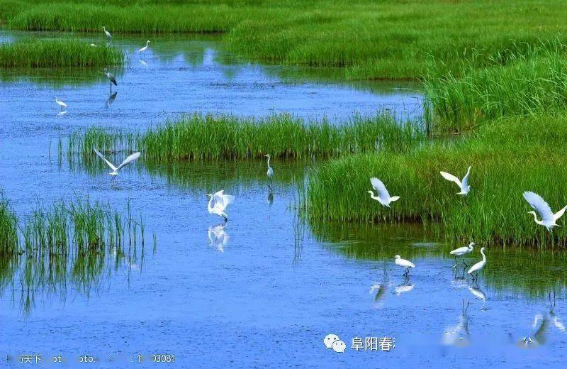 洪泽湖湿地,万亩芦苇迷宫,鱼族馆,宿迁项王故里,三台山森林公园2日游