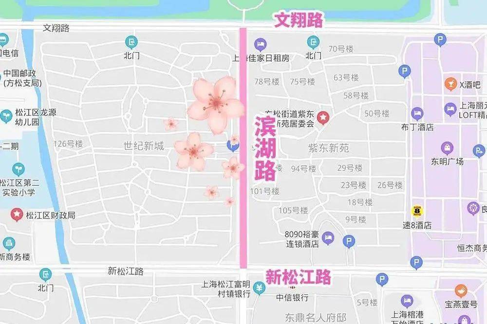 路段:新松江路—文翔路