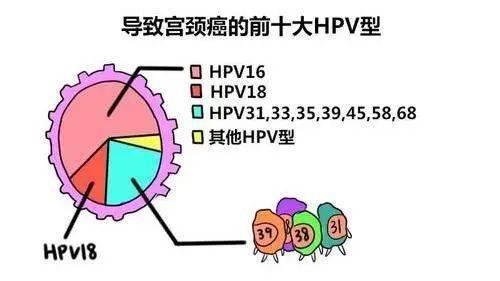 感染hpv=得宫颈癌?03hpv感染有三大途径.