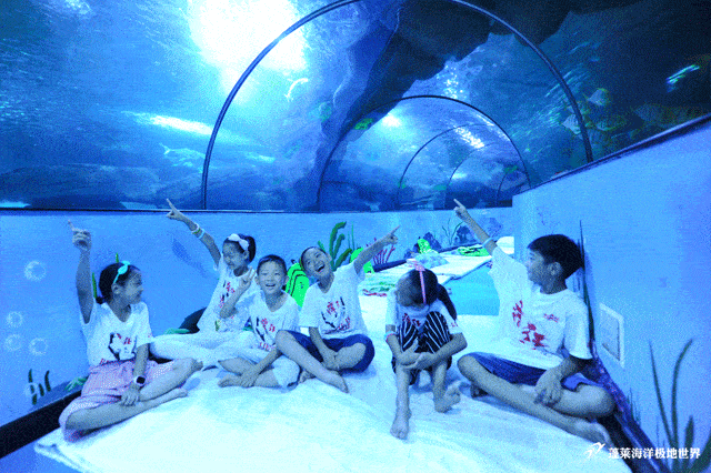 可爱的动物们解锁了无数惊人技能 给小朋友们近距离 展示海洋生物的