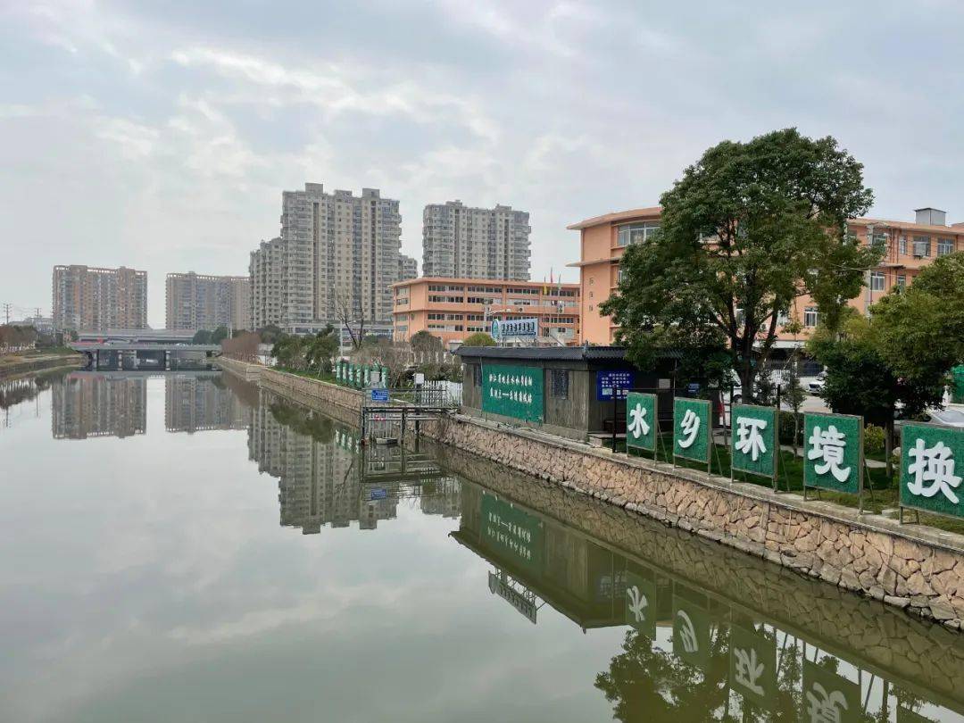 蒲岐镇东干河流域治理后面貌已大有改观.张琳 摄