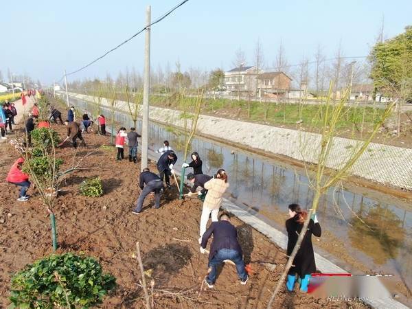 益阳市大通湖区80多名区级领导和志愿者身穿"红马甲"来到河坝