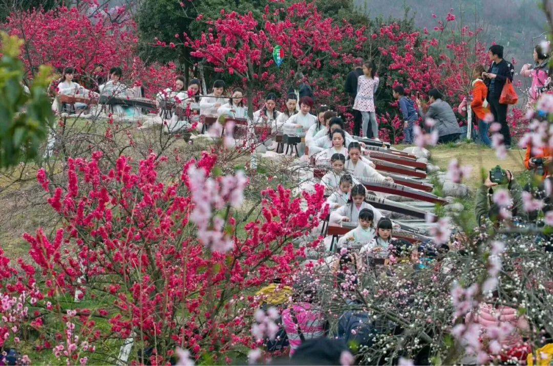 到江西这些景区赏花去.