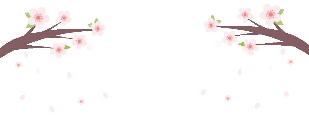 宜昌这条樱花大道特火!