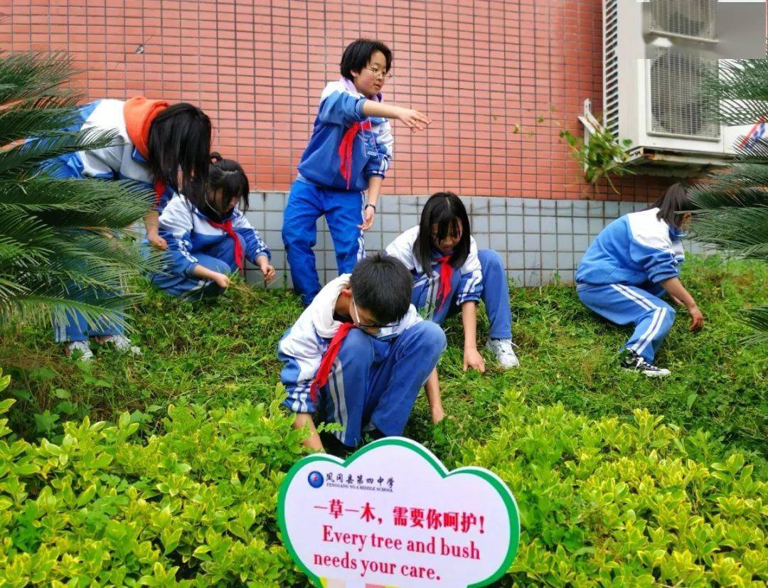 在校园里清除杂草,捡拾垃圾和枯枝败叶,锄土种花,将爱绿护绿宣传标语