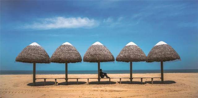 缤纷那香海,明媚好春光——在海边,与春天相约,与美好