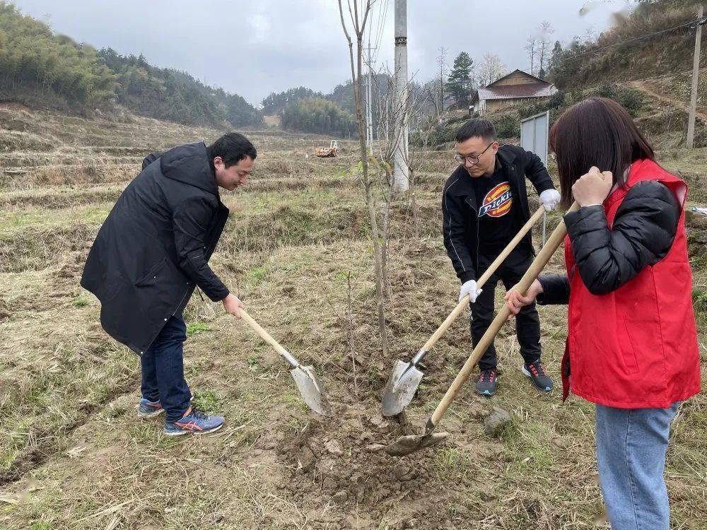 春光无限好 植树正当时 太湖"林小青"在行动!_活动