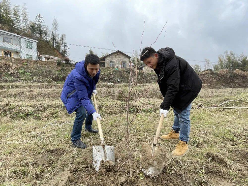 春光无限好 植树正当时 太湖"林小青"在行动!_活动