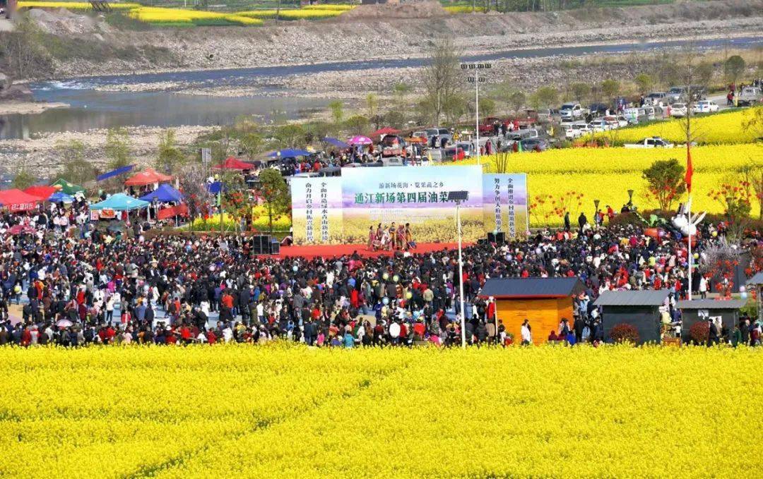 力 以"游新场花海·览果蔬之乡"为主题的 通江县新场镇第四届油菜花节