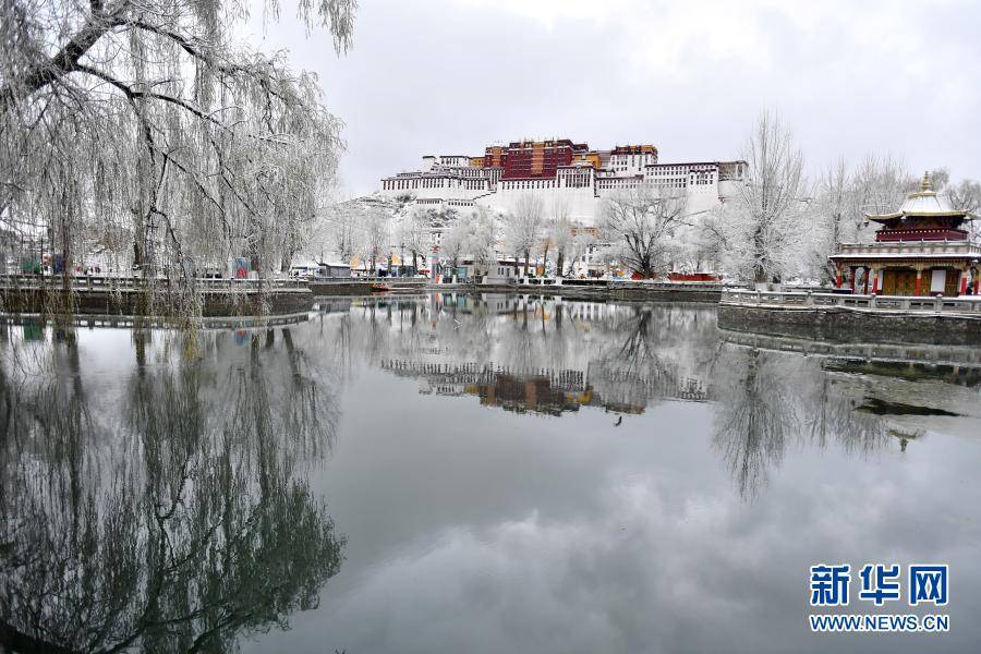 3月14日拍摄的雪中布达拉宫.当日,西藏自治区拉萨市迎来一场降雪.