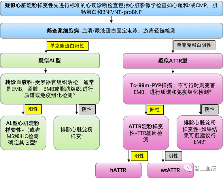 心内科医生看心脏淀粉样变