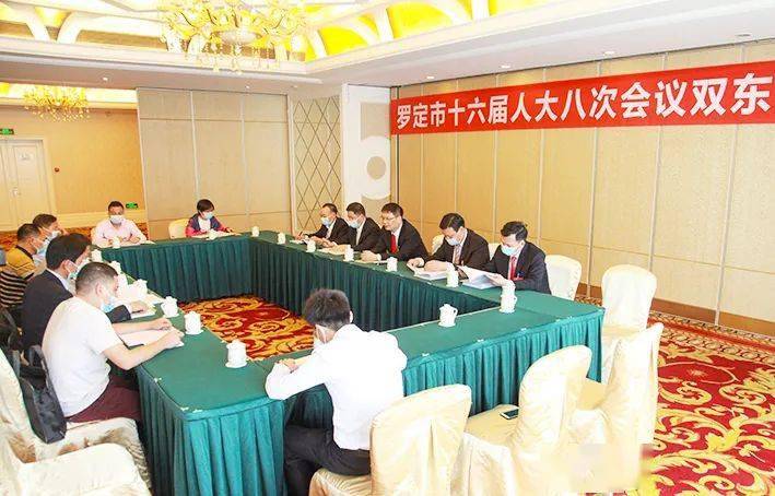 罗永雄参加罗定市第十六届人民代表大会第八次会议双东代表团讨论