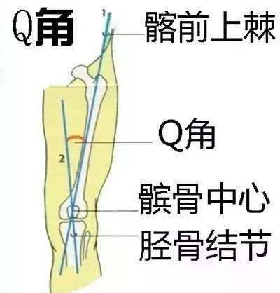 所以静蹲时两条腿膝盖一定要指向前方,同时跟你脚尖指向的方向基本是