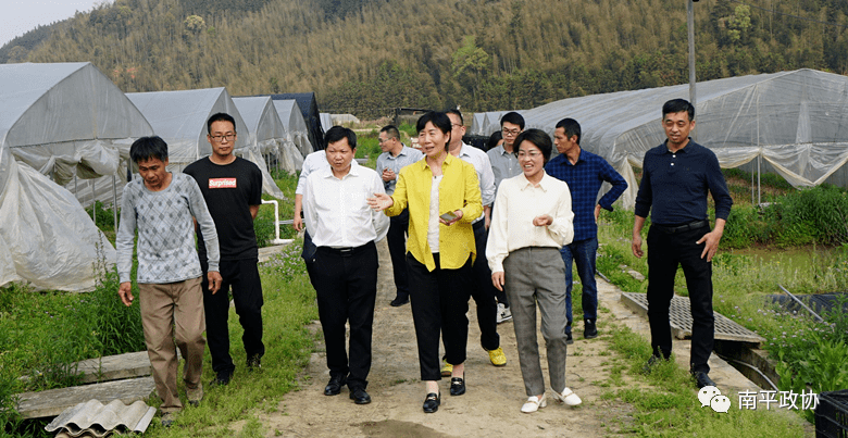 【再学习 再调研 再落实】潘丽贞到延平区埂尾村开展住村调研