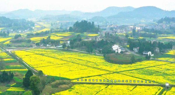 李同周)记者近日在四川省南充市西充县常林镇锦屏山村高标准农田建设