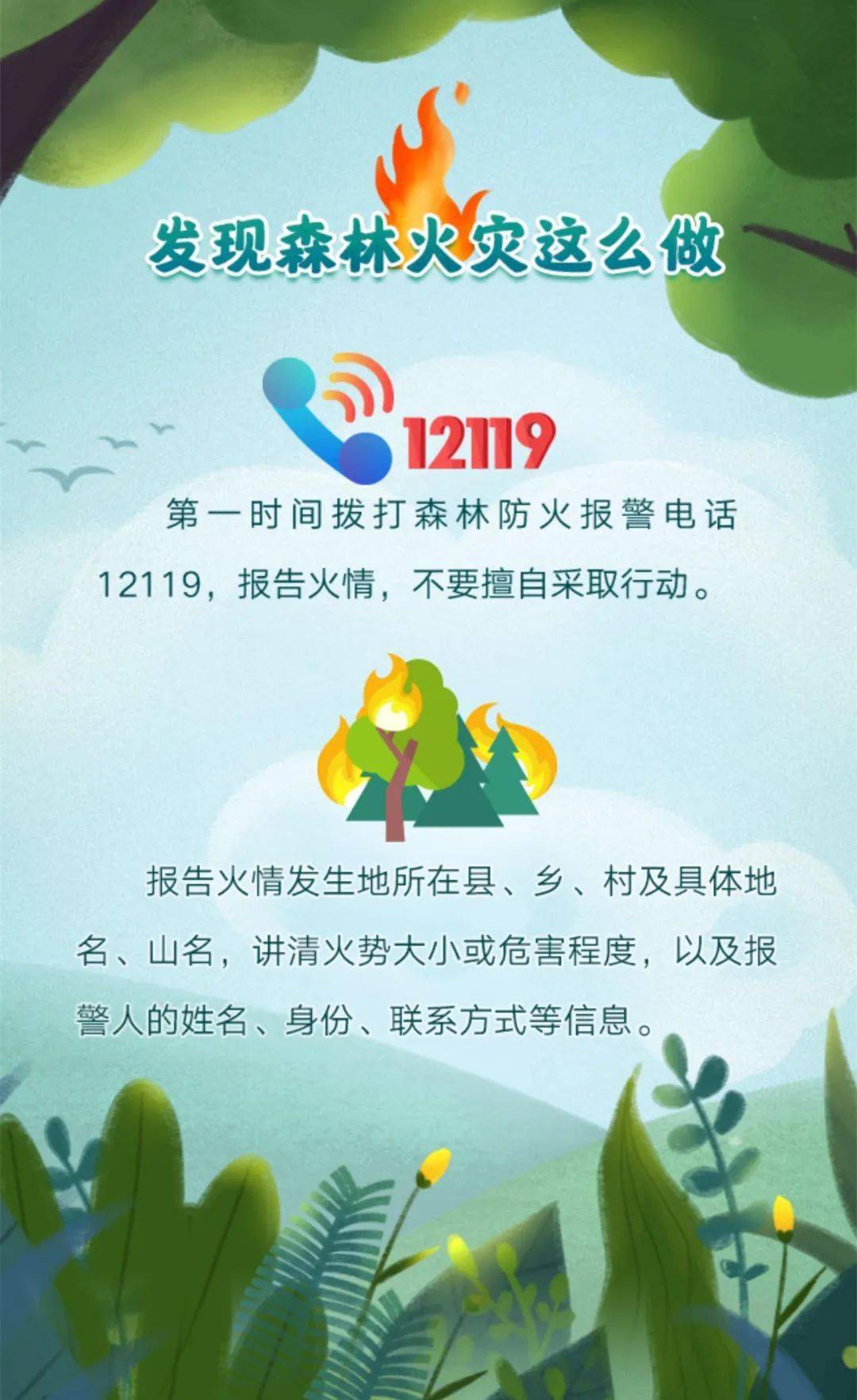 安全常识║春天来了,这些森林防火知识要记牢