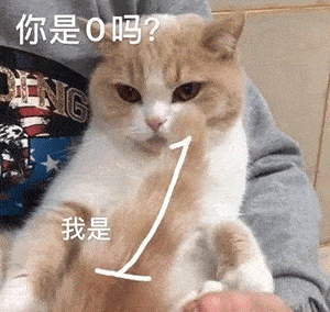 第75期喵表情丨扫黄!人站在左边!猫站右边!