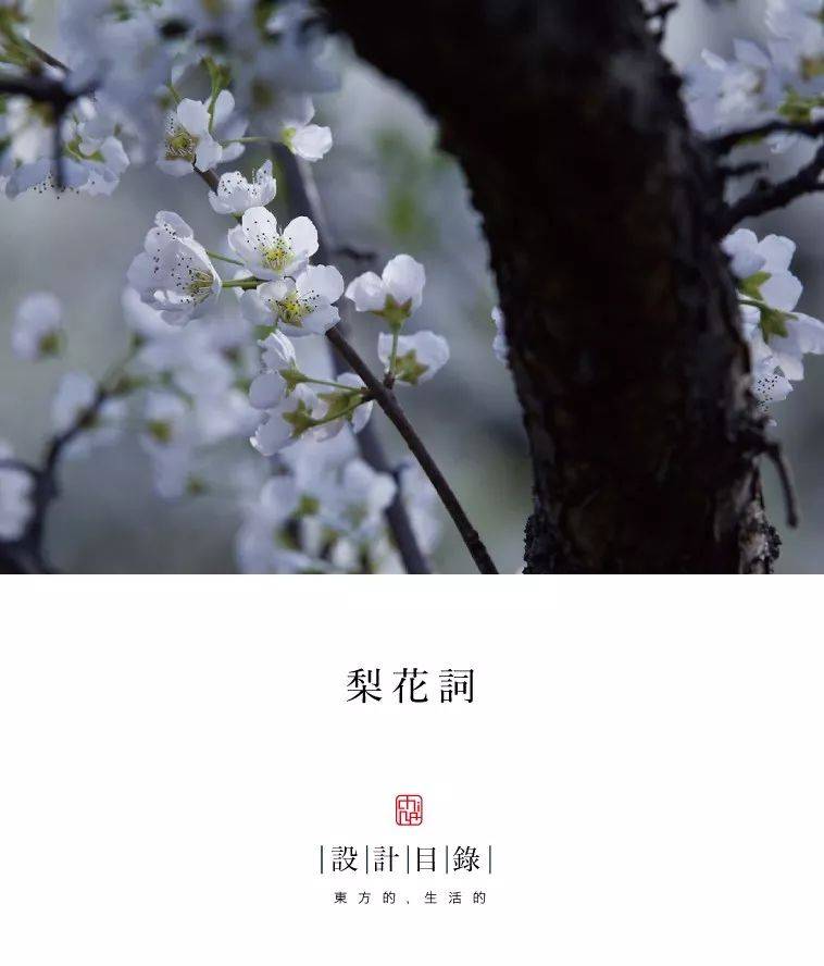 王雱说: "海棠未雨,梨花先雪,一半春休."