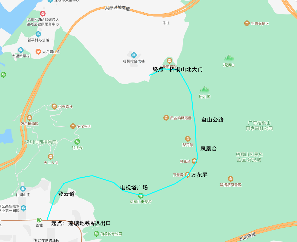 4.3号徒步梧桐山踏青赏花,打卡万花屏,毛锦杜鹃花海