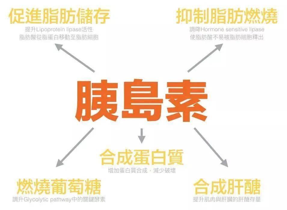 突然长胖,糖上瘾,瘦不下来?你的胰岛素可能生病了