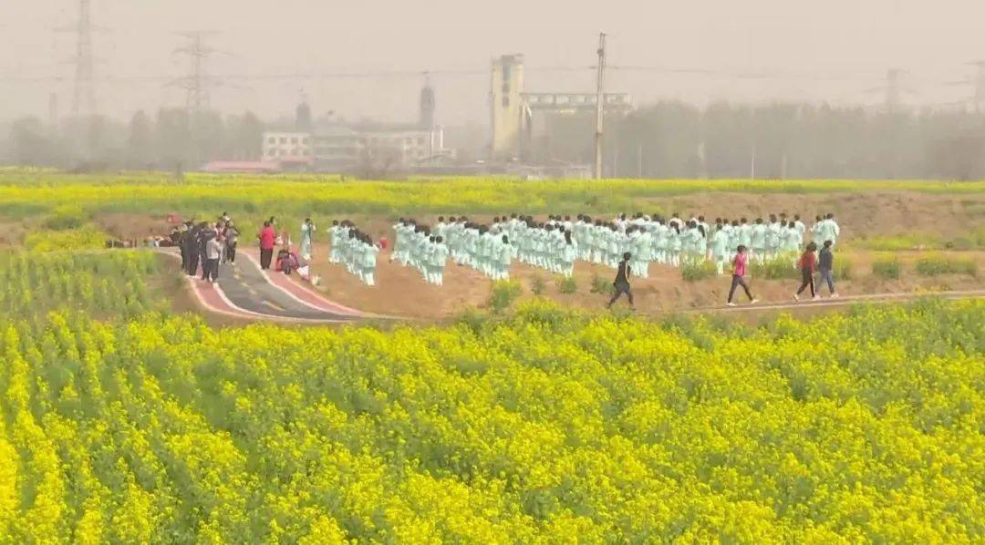 邢台金沙河红薯岭油菜花文化旅游活动正式启动_河北