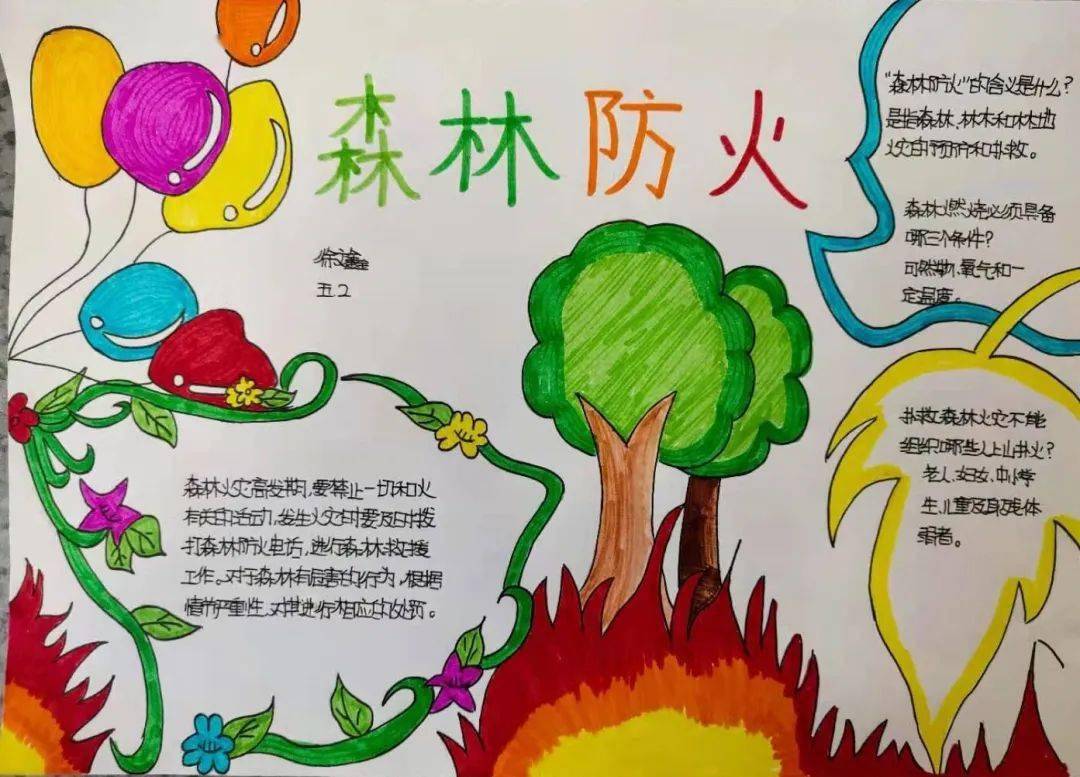 青岛弘德小学|森林防火 别让"绿肺"哭泣