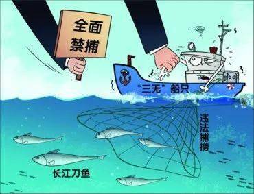 "长江禁捕 打非断链"打造长江禁渔市场监管牢固阵线