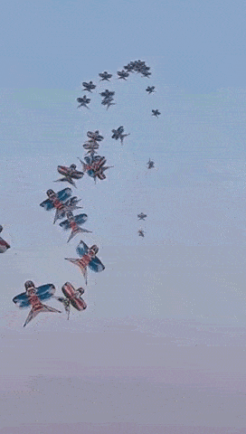 272_480 竖版 竖屏