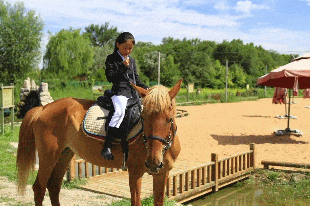 实景马战,梨花节,木偶展