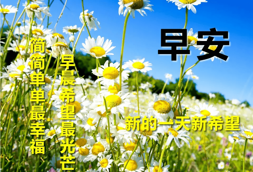 早安吉祥:相遇靠缘分,相知靠真诚,早安