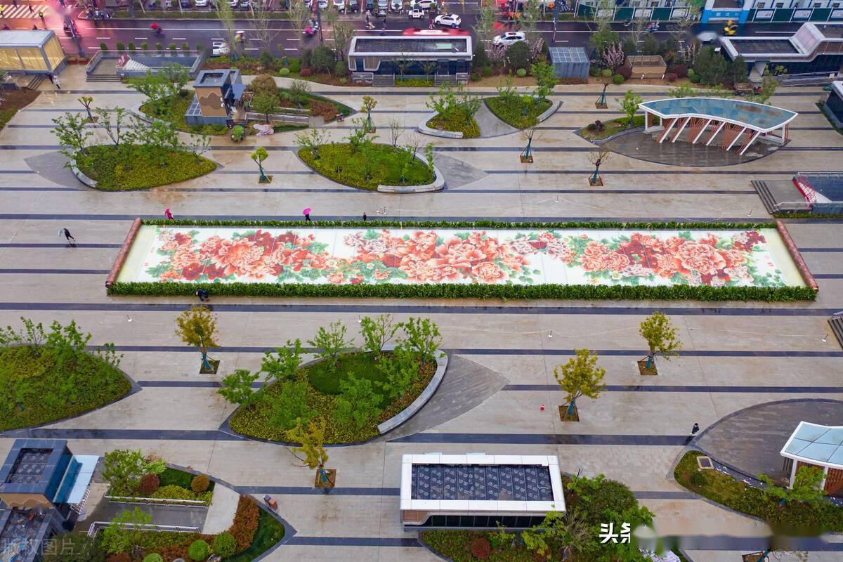 洛阳牡丹广场69米长巨幅玻璃牡丹画惊艳全城众多市民打卡拍照