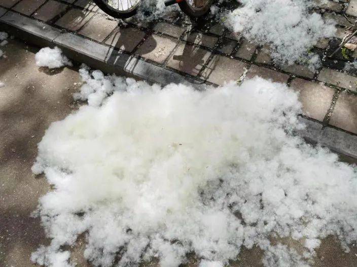 春日防絮妙招