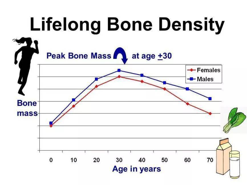 骨密度的变化随着年龄的增加(x轴年龄,y轴骨密度)