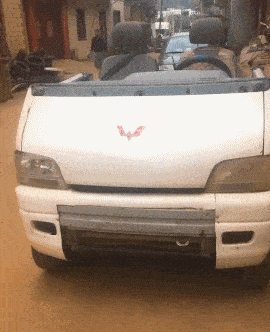 搞笑gif: 吃奶永远是人和动物的本能,小喵吃的太可爱了