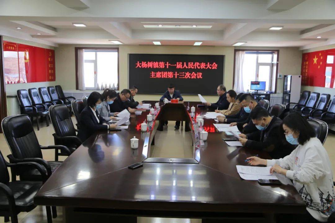 大杨树镇召开第十一届人民代表大会主席团第十三次会议及2021年人大