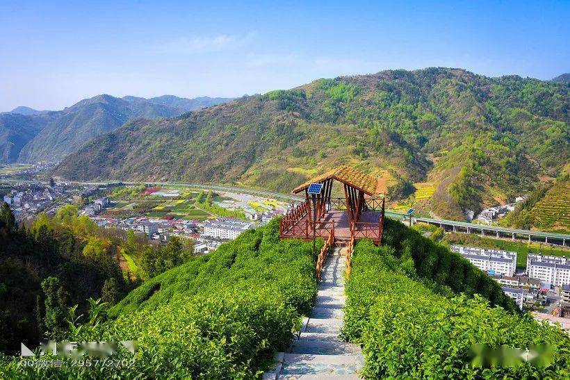 ◣九岳视界◥平利一景茶山天梯