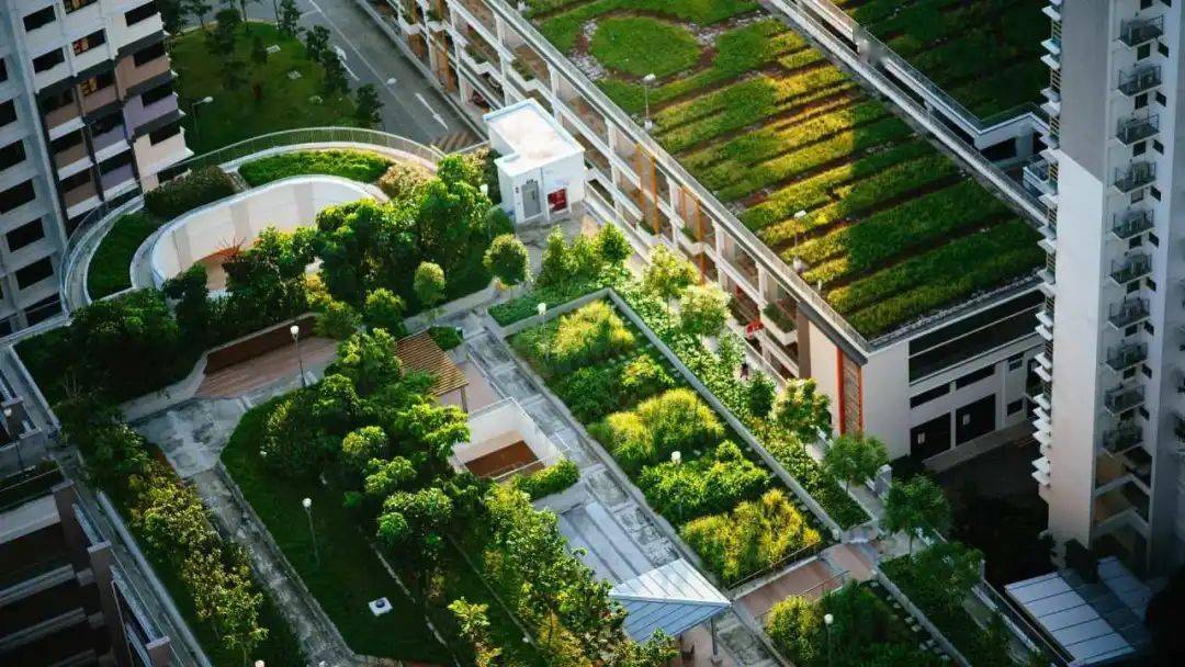 建筑碳中和|城市设计案例库 之 绿色屋顶提升建筑气候适应性(两则)