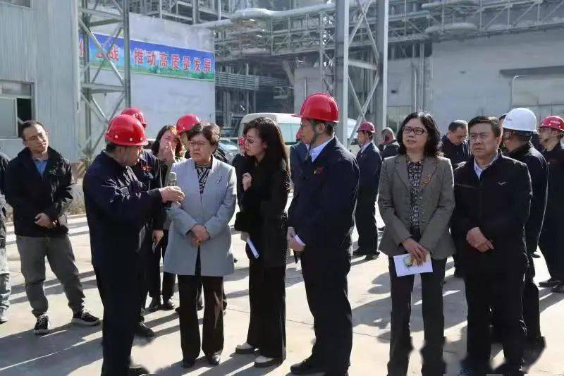 自治区生态环境厅党组书记,厅长杨劼 在包头市调研生态环境保护工作