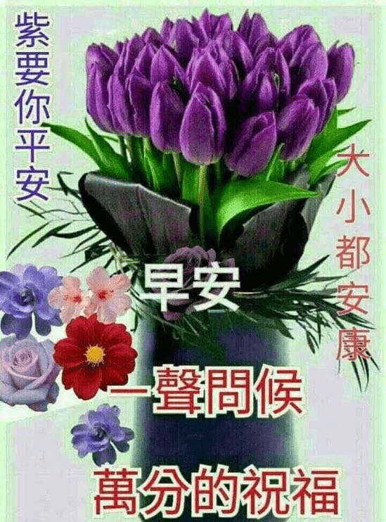 怀着感恩的心,念着感恩的情,说着感恩的话,早安